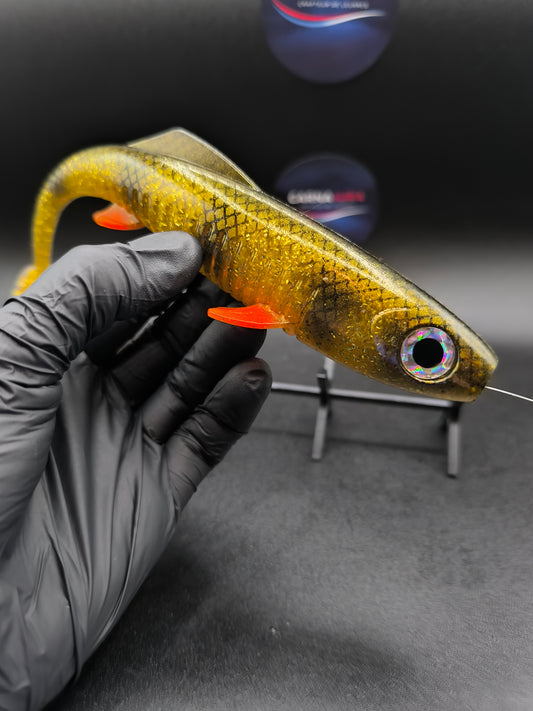 CARNASHAD 200 GOLDEN PERCH