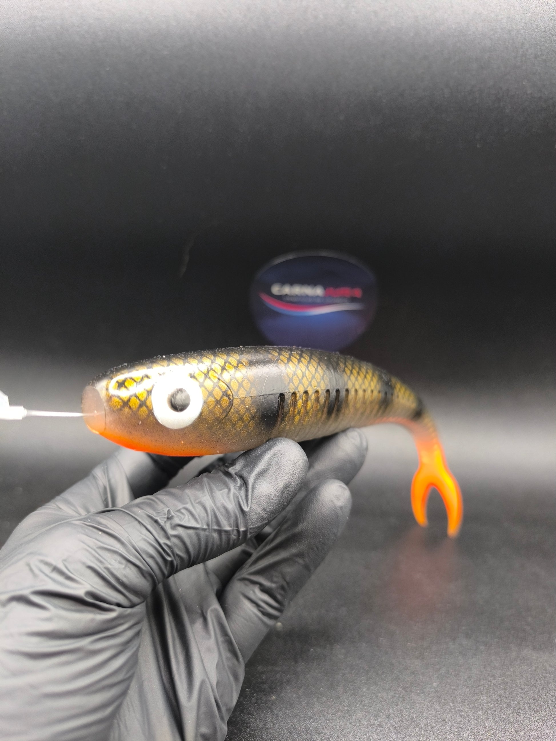Carnasplit 200 Golden Perch, leurre souple finesse 20 cm pour la pêche du brochet et du sandre avec nage discrète en eau claire.