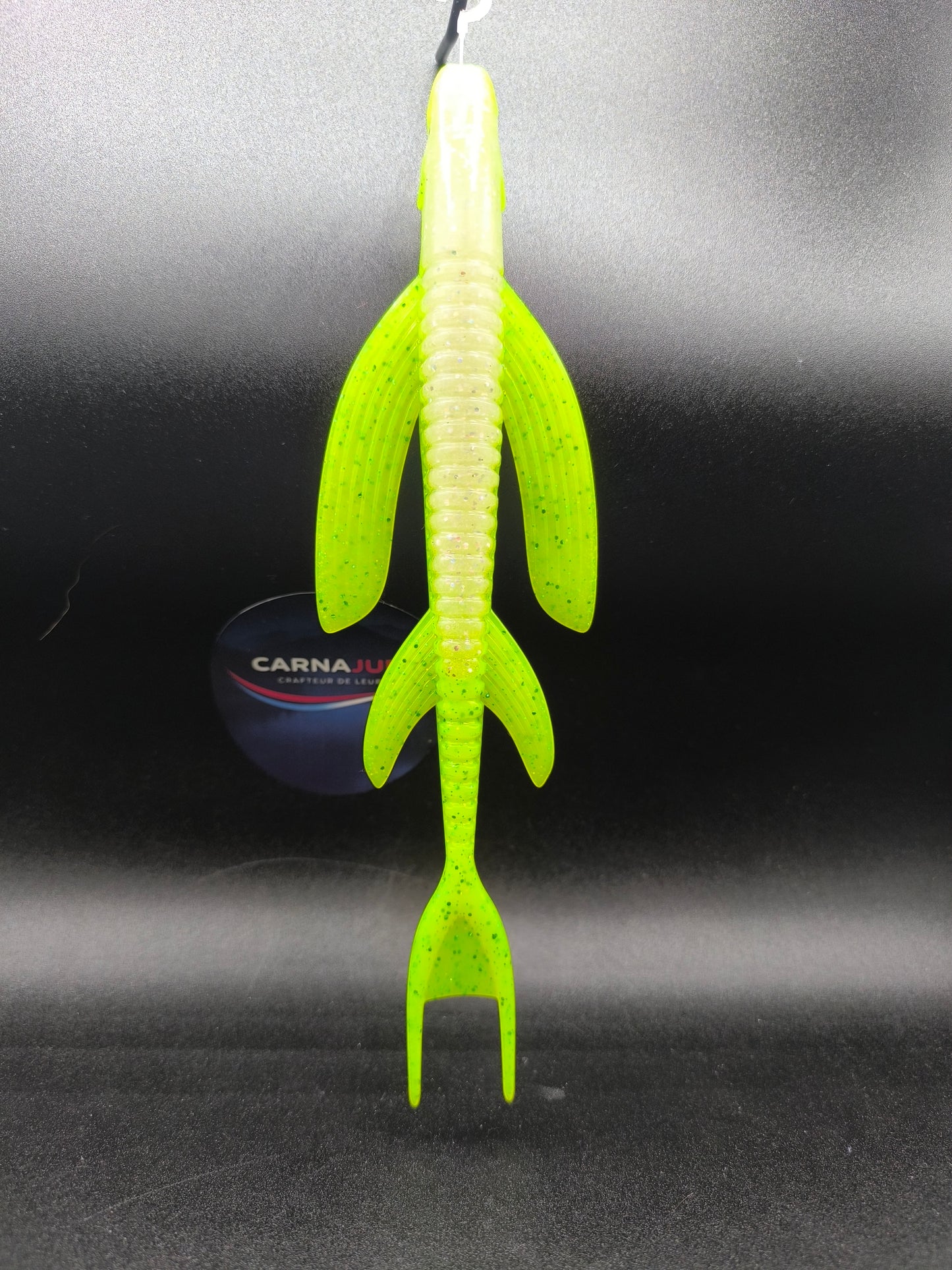 Carnawing 250 Lime, leurre souple finesse pélagique 25 cm pour la pêche du brochet et du sandre en pleine eau avec forte vibration.
