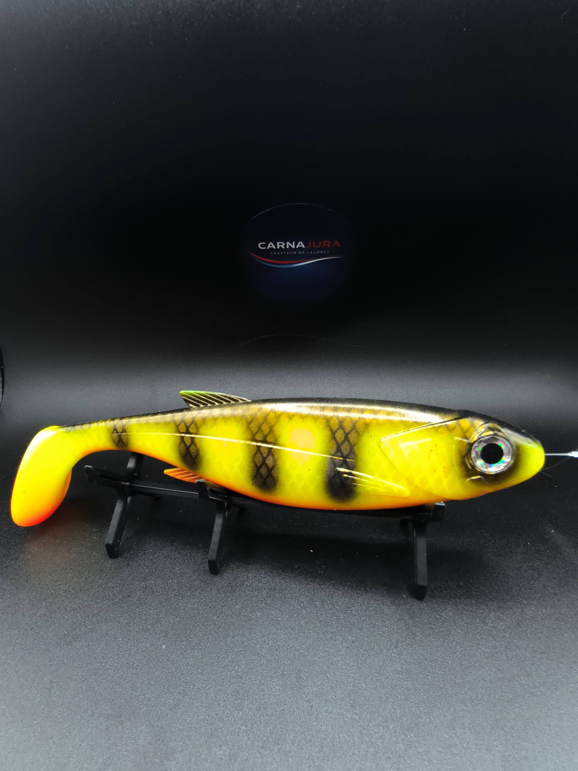 T-REX 250 Perch Flash, leurre souple big bait 25 cm pour la pêche du brochet avec effet flash et vibrations puissantes.