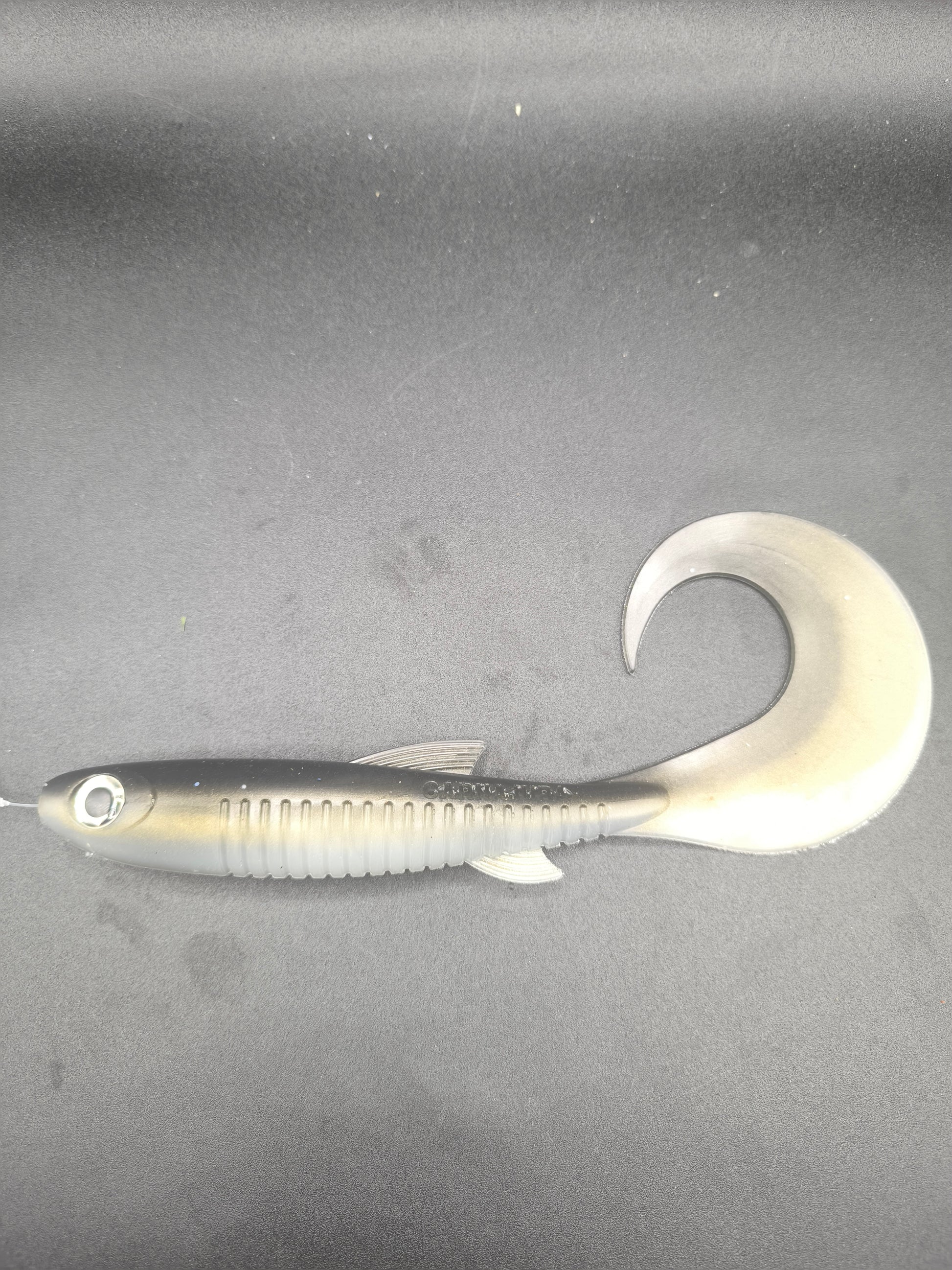 Carna Grub 250 Natural Roach leurre souple grub imitation poisson naturel Carnajura
