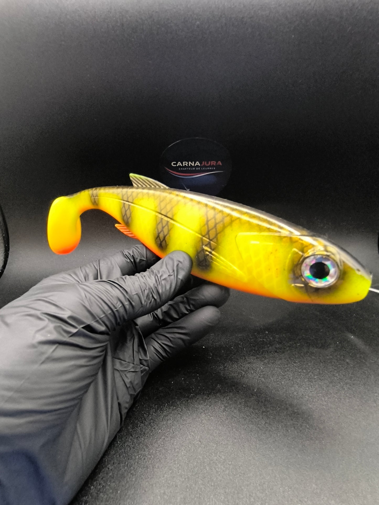 T-REX 250 PERCH FLASH